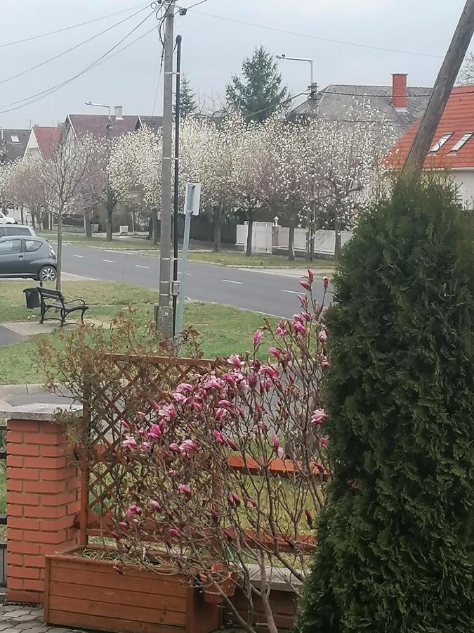 Marina-Bük Apartmanház Buk Exterior foto